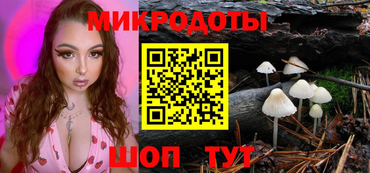Удомля  Псилоцибиновые грибы GOLDEN TEACHER  Вход с VPN  Псилоцибиновые грибы MAGIC MUSHROOMS 