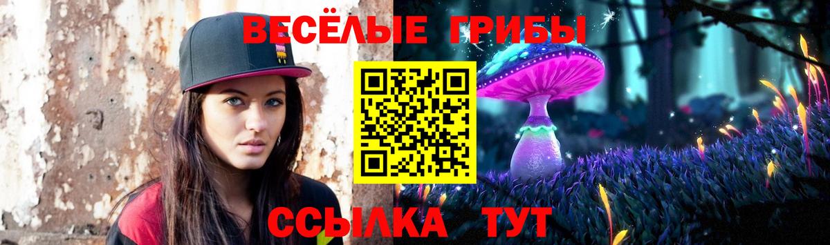 Псилоцибиновые грибы Psilocybe Удомля
